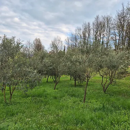 Villa New Luxury Themis Istria Private Heated Pool Krsan