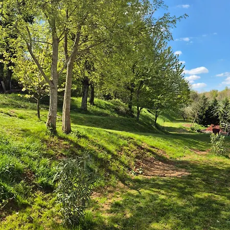 Villa New Luxury Themis Istria Private Heated Pool Krsan